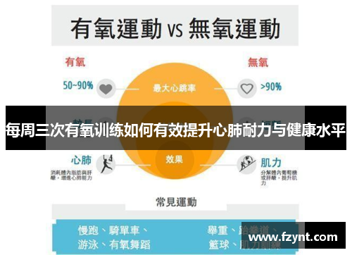 每周三次有氧训练如何有效提升心肺耐力与健康水平