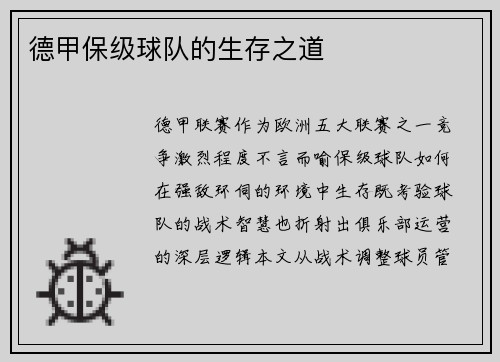 德甲保级球队的生存之道